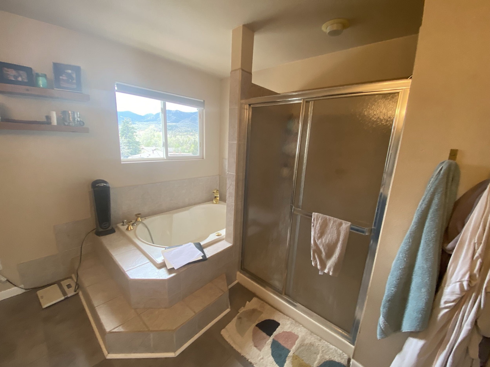Pleasant Valley - Master Bath Before